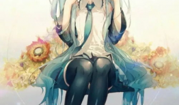 初音未来有动漫吗,动漫界的音乐精灵传奇